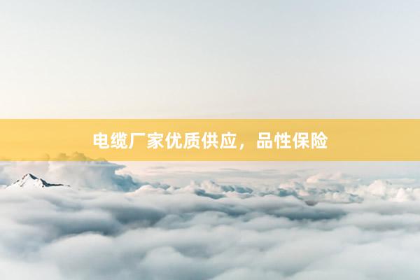 电缆厂家优质供应，品性保险
