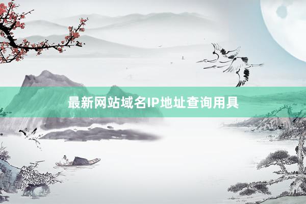 最新网站域名IP地址查询用具