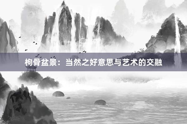 枸骨盆景：当然之好意思与艺术的交融