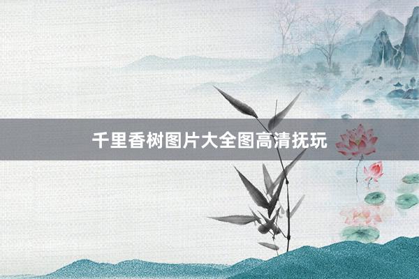 千里香树图片大全图高清抚玩