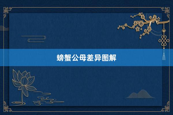 螃蟹公母差异图解