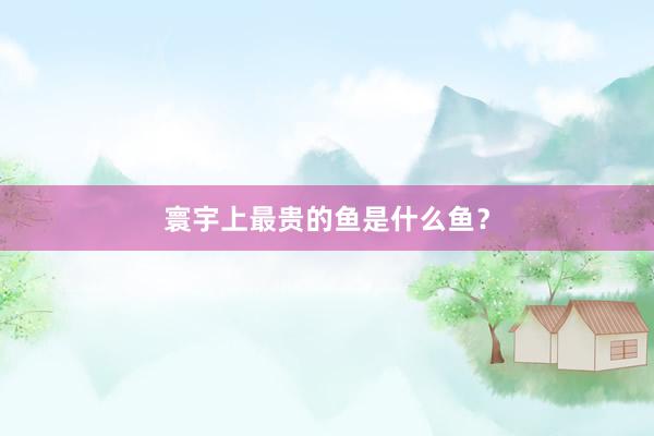 寰宇上最贵的鱼是什么鱼？