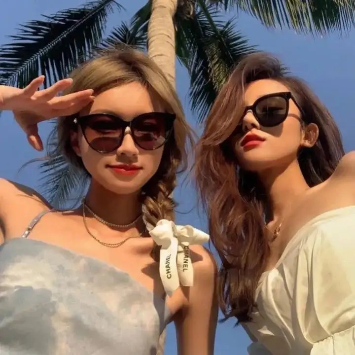 网中的太阳